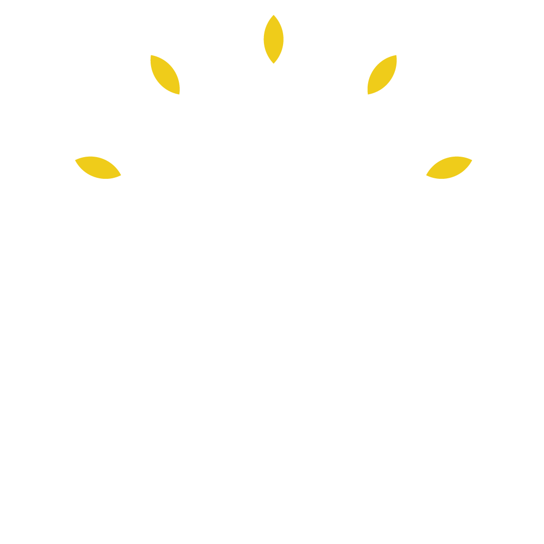 Baum Strategies